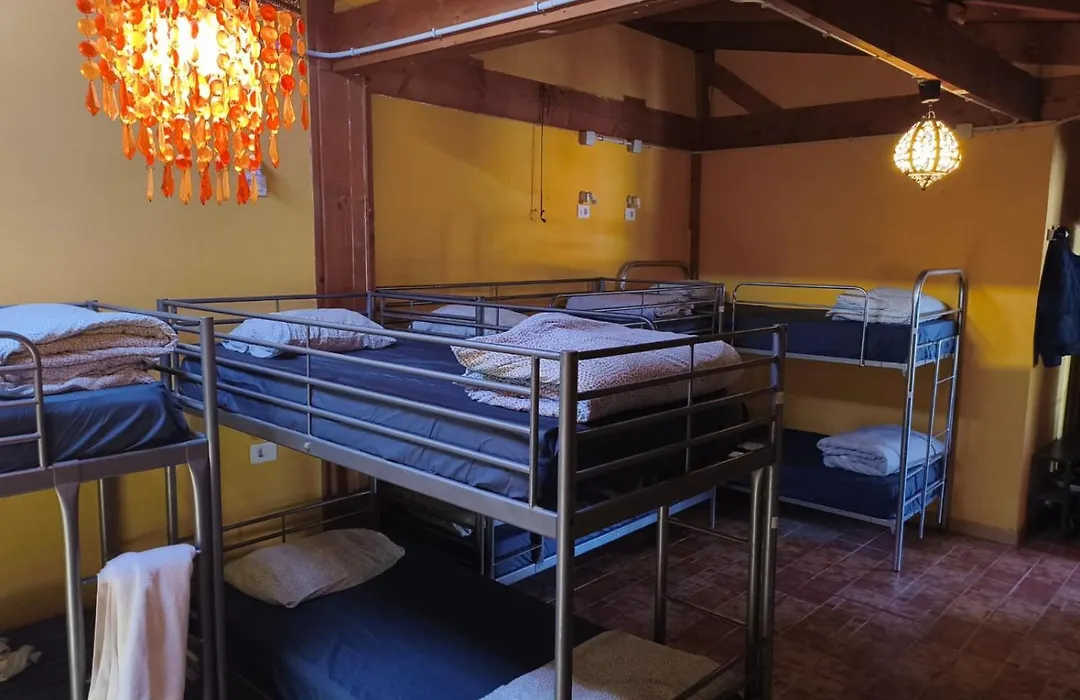 Los Amigos Nest Hostel-1