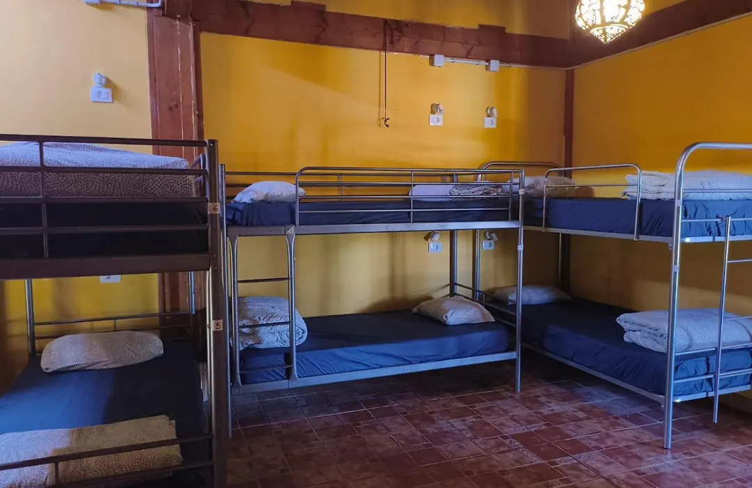 Los Amigos Nest Hostel-1