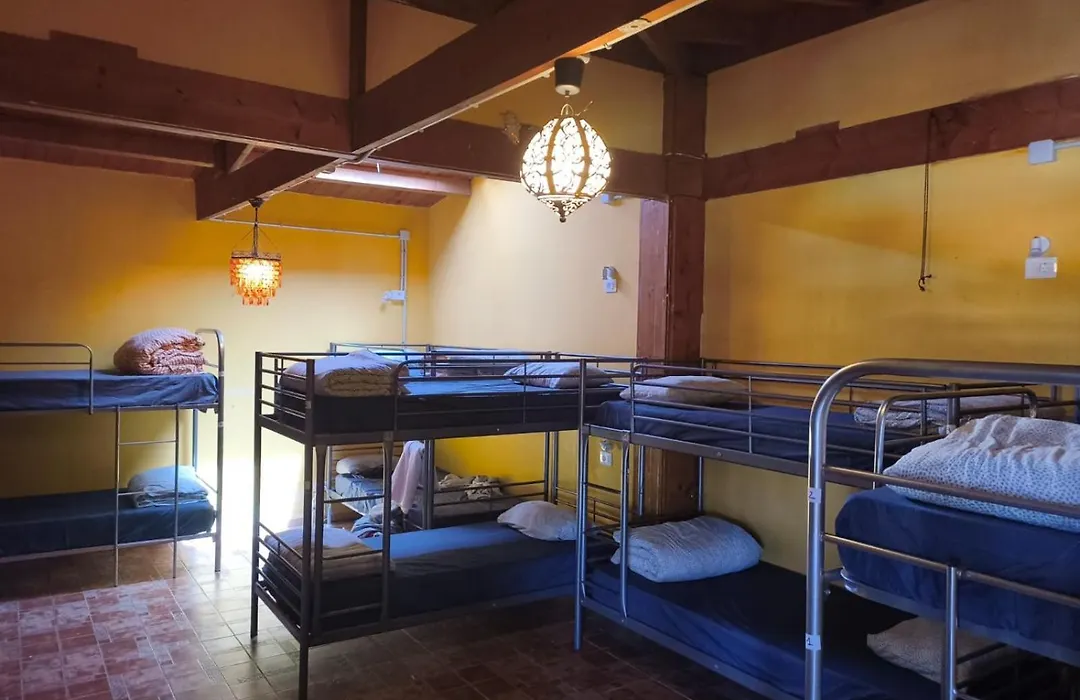 Los Amigos Nest Hostel-1