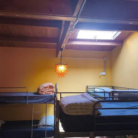 Los Amigos Nest Hostel-3